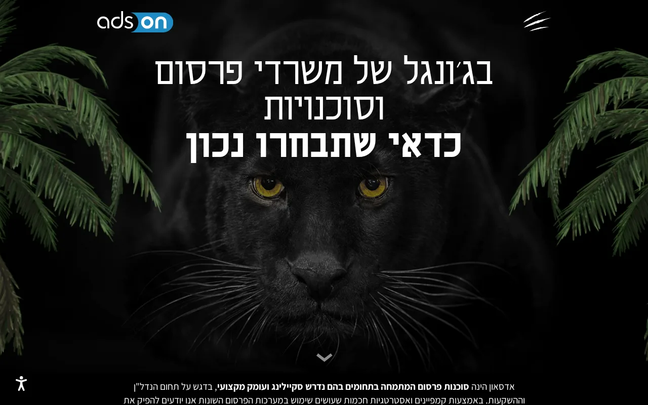 צילום מסך של Adson